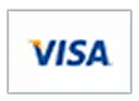 Visa Payment
